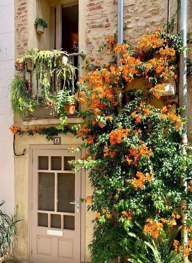 Maison Historique Rue Vermeille Argeles Sur Mer المظهر الخارجي الصورة