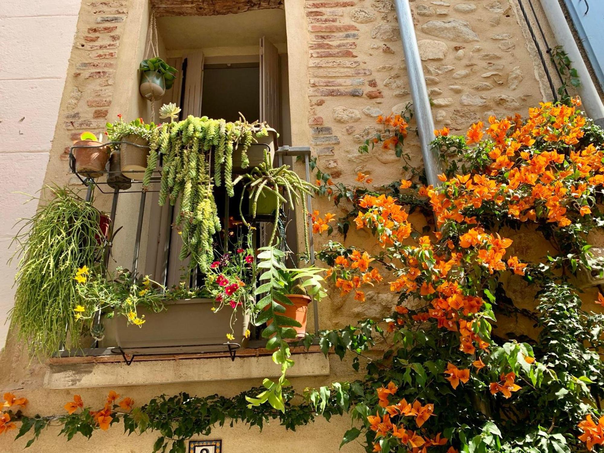 Maison Historique Rue Vermeille Argeles Sur Mer المظهر الخارجي الصورة