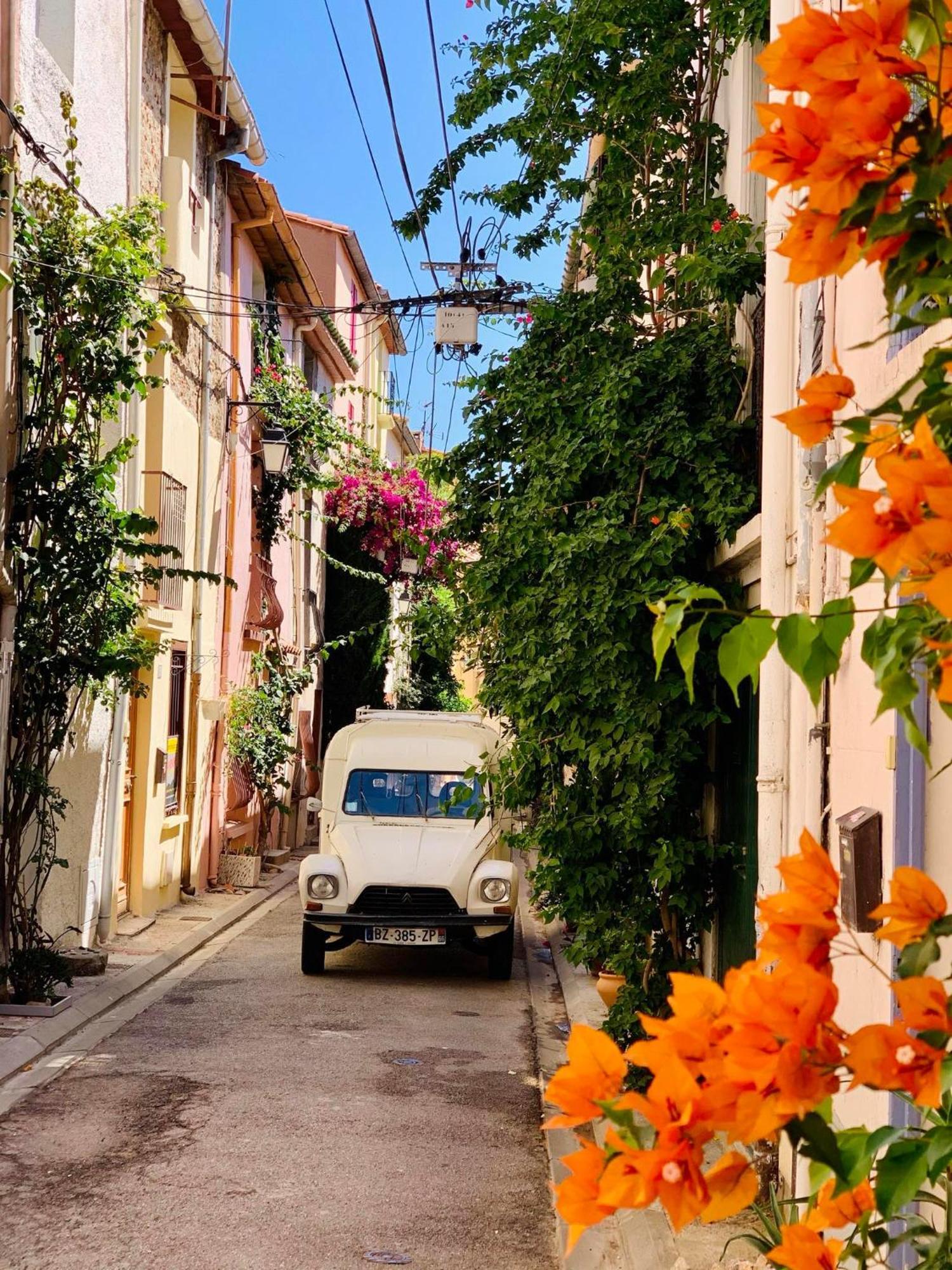 Maison Historique Rue Vermeille Argeles Sur Mer المظهر الخارجي الصورة